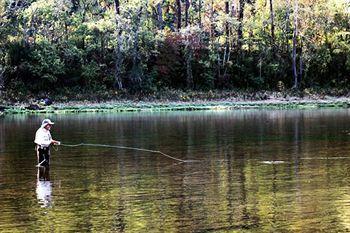 The White River Inn Bull Shoals Luaran gambar